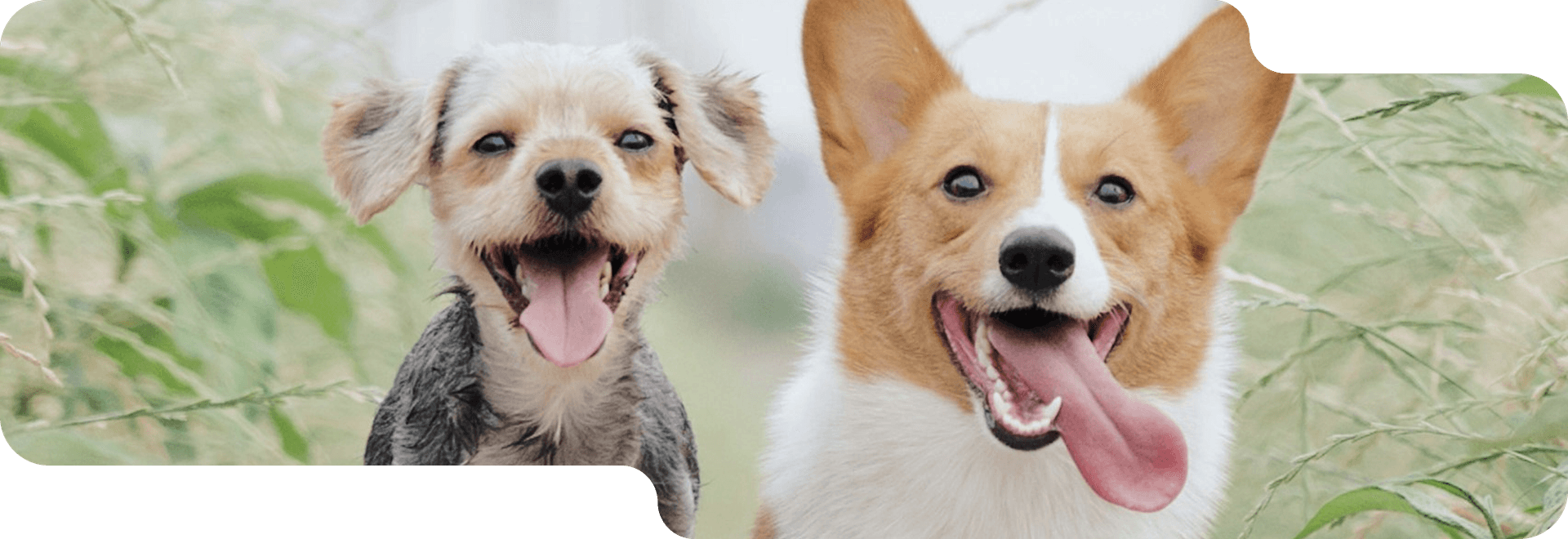 File a complaint banner