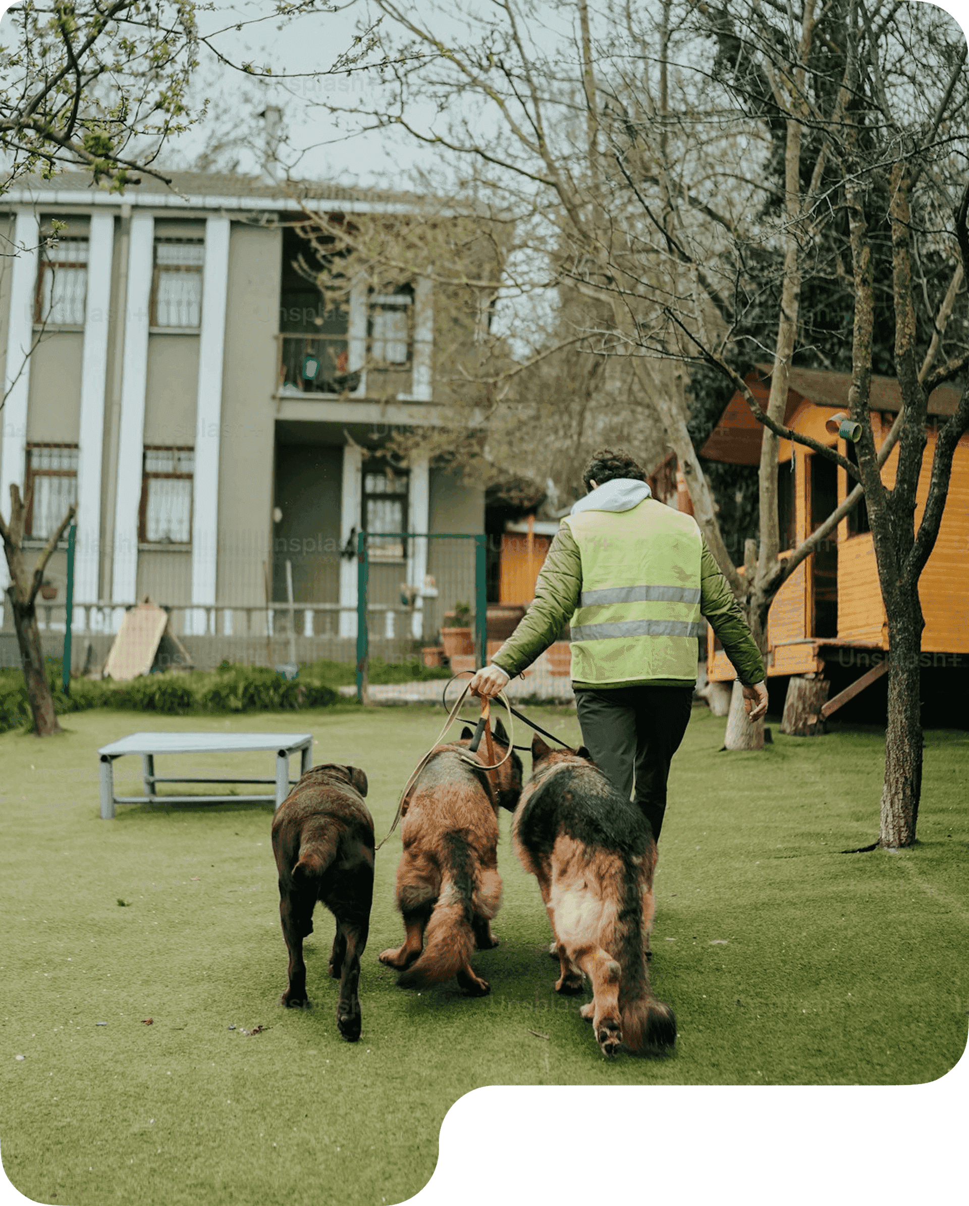 Hero — shelter worker walking dogs